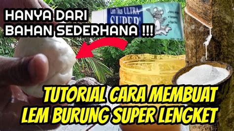 Cara Membuat Lem Burung Menggunakan Lem Fox yang Mudah